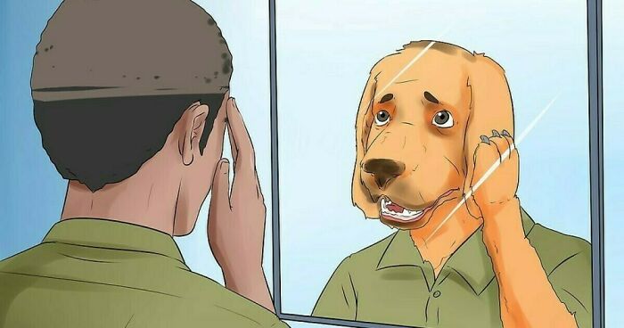 Hey Pandas, Show A Weird Wikihow Image