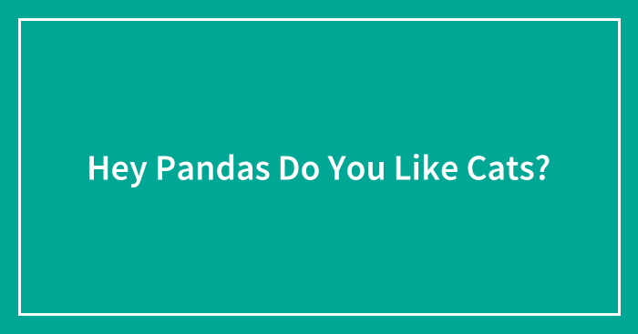 Hey Pandas Do You Like Cats?