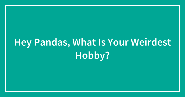 Hey Pandas, What Is Your Weirdest Hobby? (Closed)
