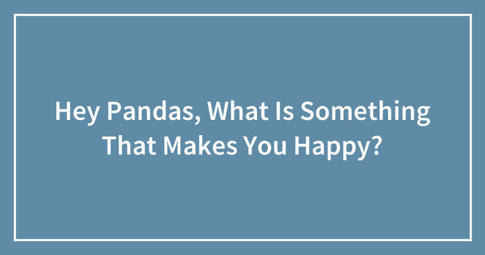 Hey Pandas, What Is Something That Makes You Happy? (Closed)