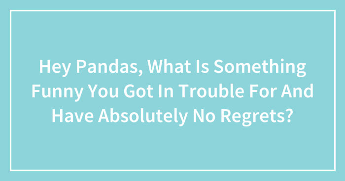 Hey Pandas, What Is Something Funny You Got In Trouble For And Have Absolutely No Regrets?