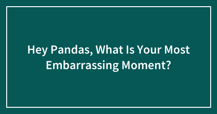 Hey Pandas, What Is Your Most Embarrassing Moment?