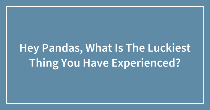 Hey Pandas, What Is The Luckiest Thing You Have Experienced? (Closed)