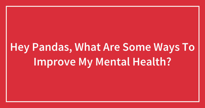 Hey Pandas, What Are Some Ways To Improve My Mental Health? (Closed)
