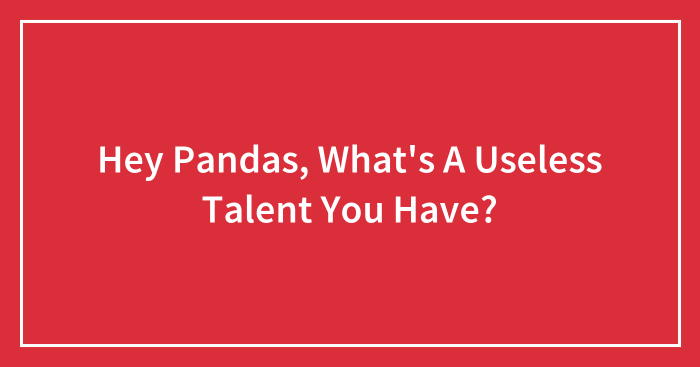 Hey Pandas, What’s A Useless Talent You Have?