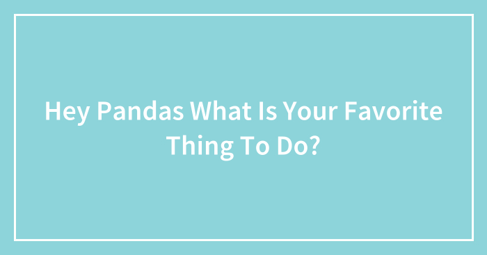Hey Pandas What Is Your Favorite Thing To Do?
