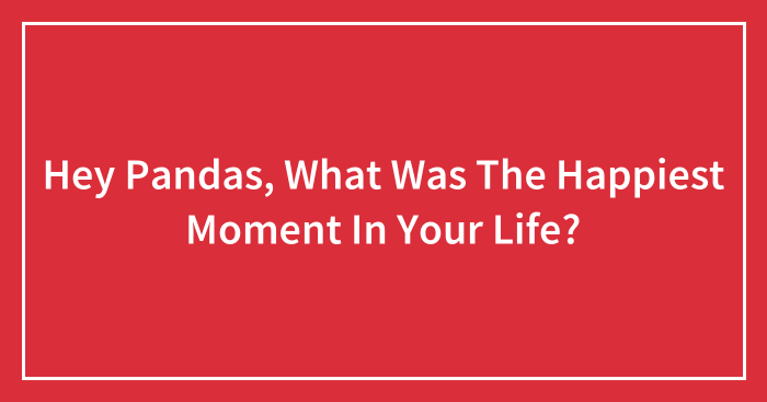 Hey Pandas, What Was The Happiest Moment In Your Life? (Closed)