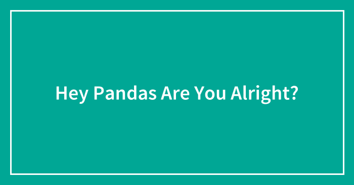 Hey Pandas Are You Alright?