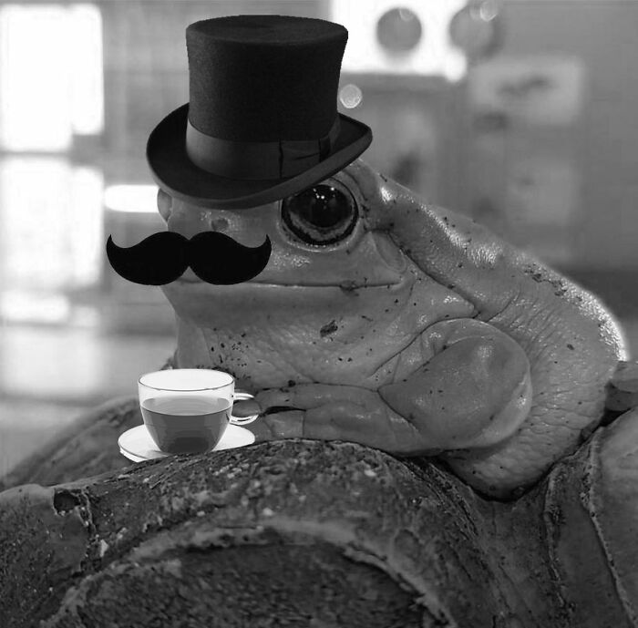 Fancy Froggo