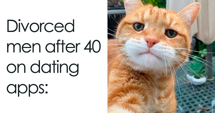 This Online Group Is Sharing The Best Cat Posts, Jokes, And Memes (50 Pics)