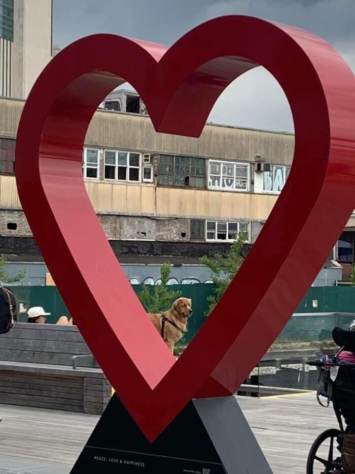 I’ve Literally Never Taken A Better Photo Before