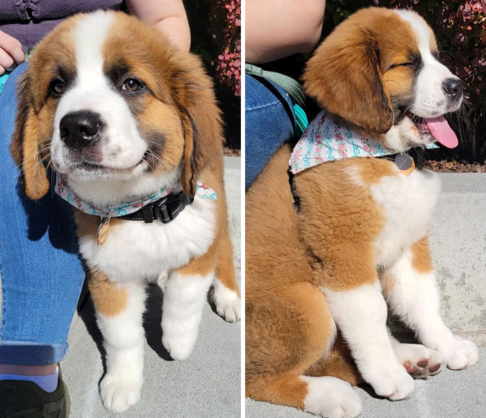 Too Smitten To Ask Her Name - A 2 Month Old Angel!!!!!