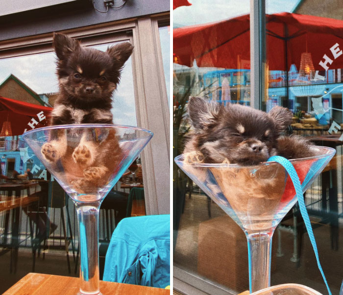 Had The Best Little Customer At Work On Wednesday