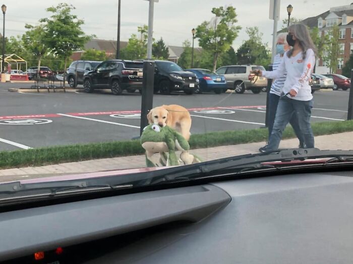 Doggie Carries Froggie