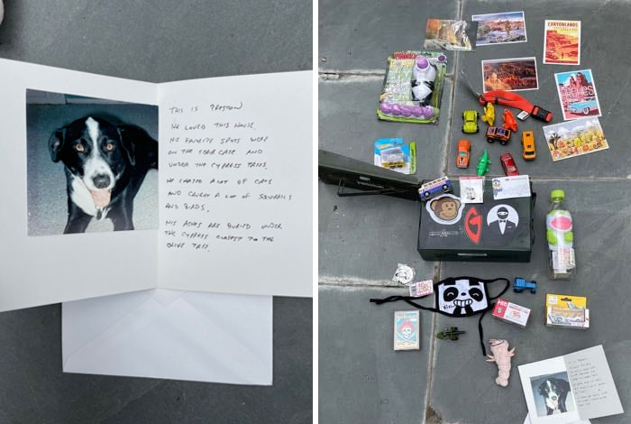 While Replacing A Mirror In The Bathroom Of Our 1920s Greene And Greene Carriage House In Altadena, Ca, We Found A Hidden Compartment, With All Sorts Of Artifacts, Including The Lovely Letter And Photograph Of The Previous Canine Inhabitant, This Is A Posthumous Dog Spotting Event, And I'm Glad His Ashes Are Safely Buried Here, Under The Cypress Tree. There Were All Sorts Of Little Artifacts In This Secret Time Capsule, Including A Letter Which Started "Dear Future People", I Was Completely Charmed, And Will Replace The Artifacts And Hide Them For The Next "Future People" To Discover