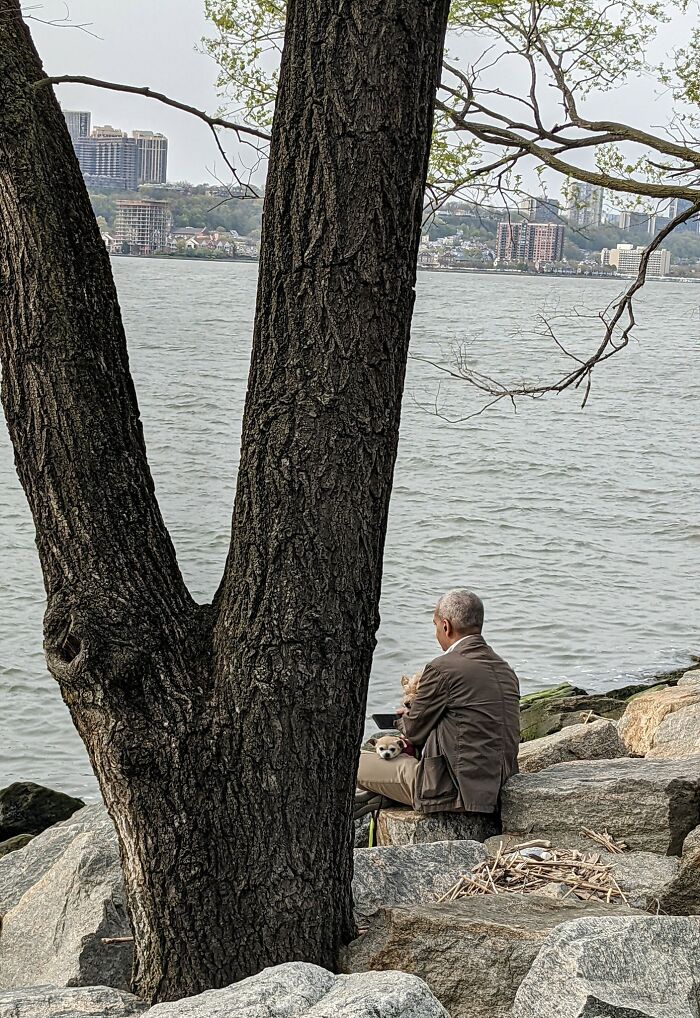 Walked By The Most Peaceful Scene Ever Today