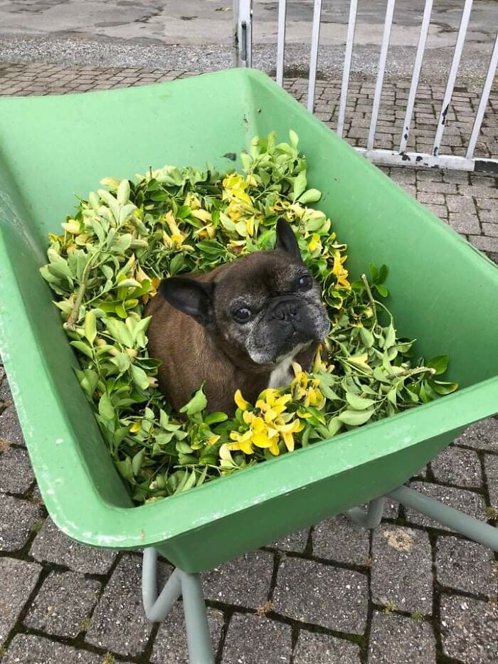 Spotted In His Natural State During A Walk