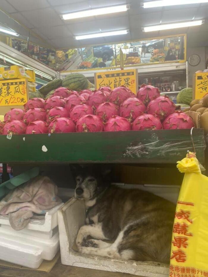 What Type Of Fruit Is This?