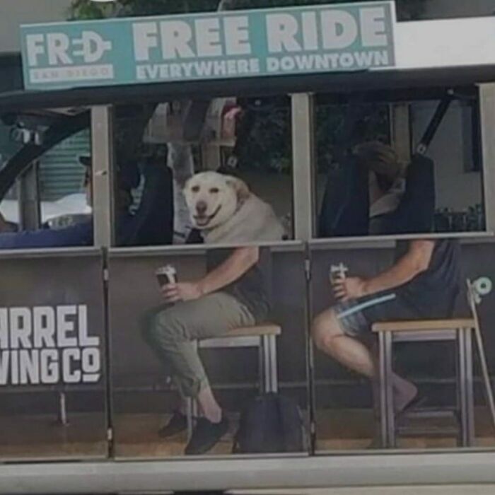 Free Ride
