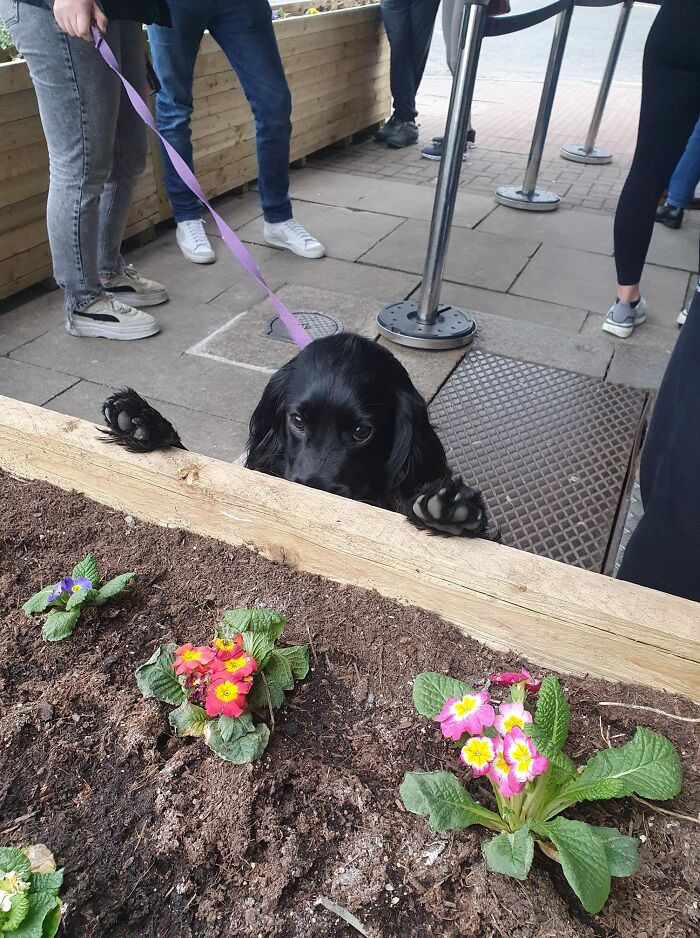 Made A Friend, We Played Peekaboo For A Bit