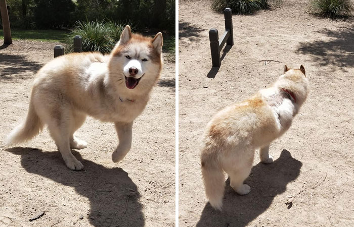 Met This Absolutely Gorgeous 12 Year Old Girl At The Park The Other Day But I Unfortunately Can't Recall Her Name. Her Parents Said That She Had To Have Have Her Leg Taken Off A Few Months Ago But She Has Been Barely Hindered! Very Friendly And Happy