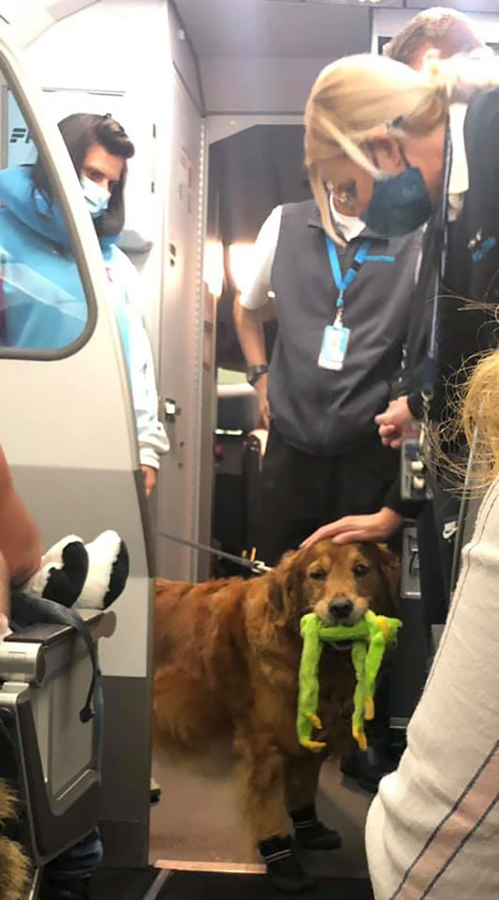 My First Spot On The Way Back From San Juan. This Good Boi Is 9 1/2 Years Old And He Is Flight Ready With His Frog