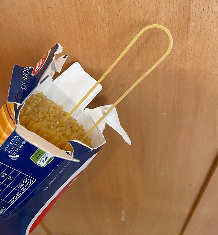 This Double Length Curved Spaghetti