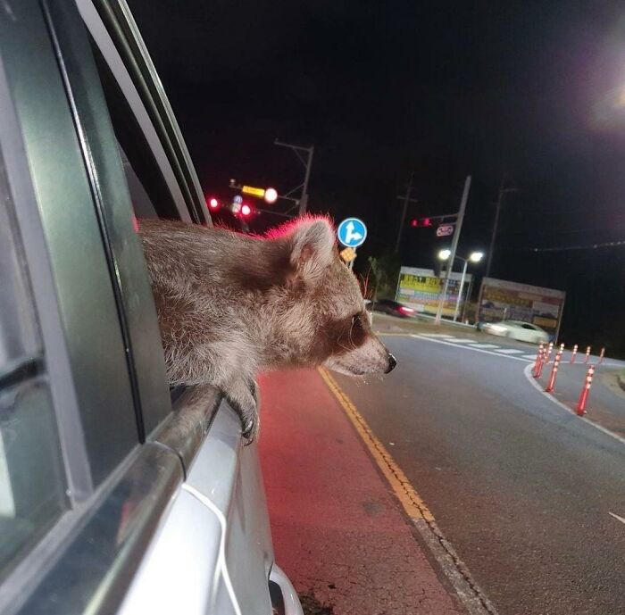 “Listen Officer All I Asked If Those Kids Wanted Some Trash, I Dont See The Miss Understanding Here”