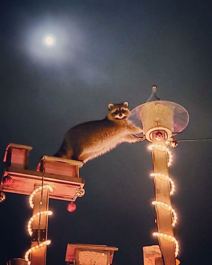 I See No God Up Here But Me