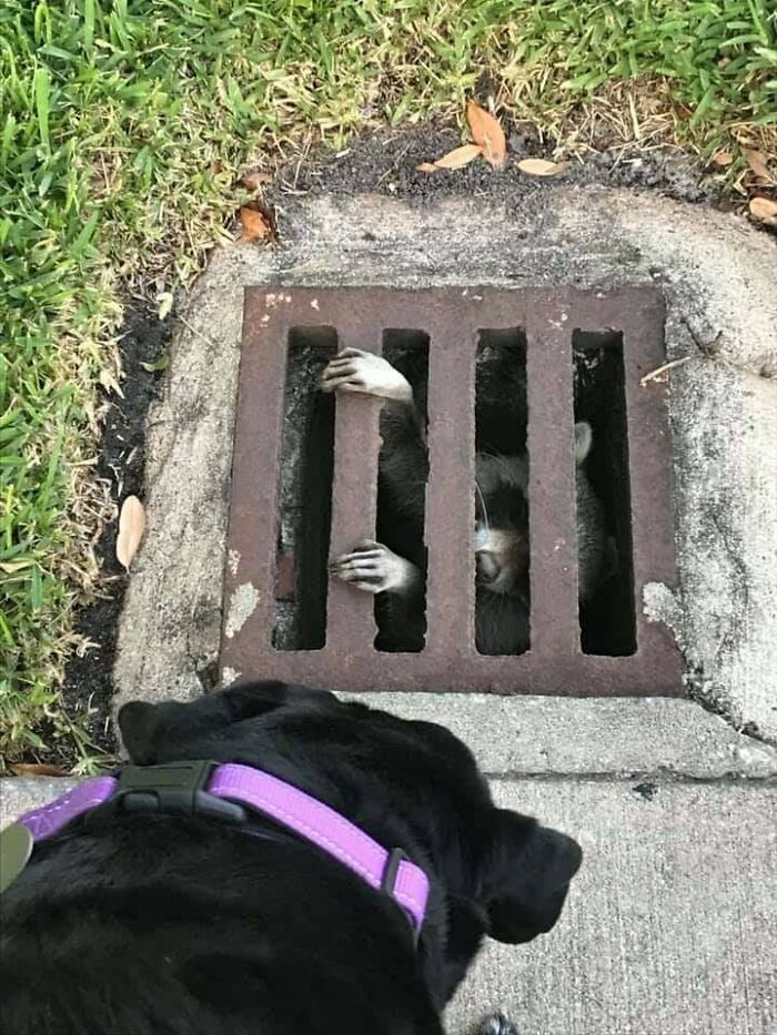 Hey Kid Help Me Break Outta Here