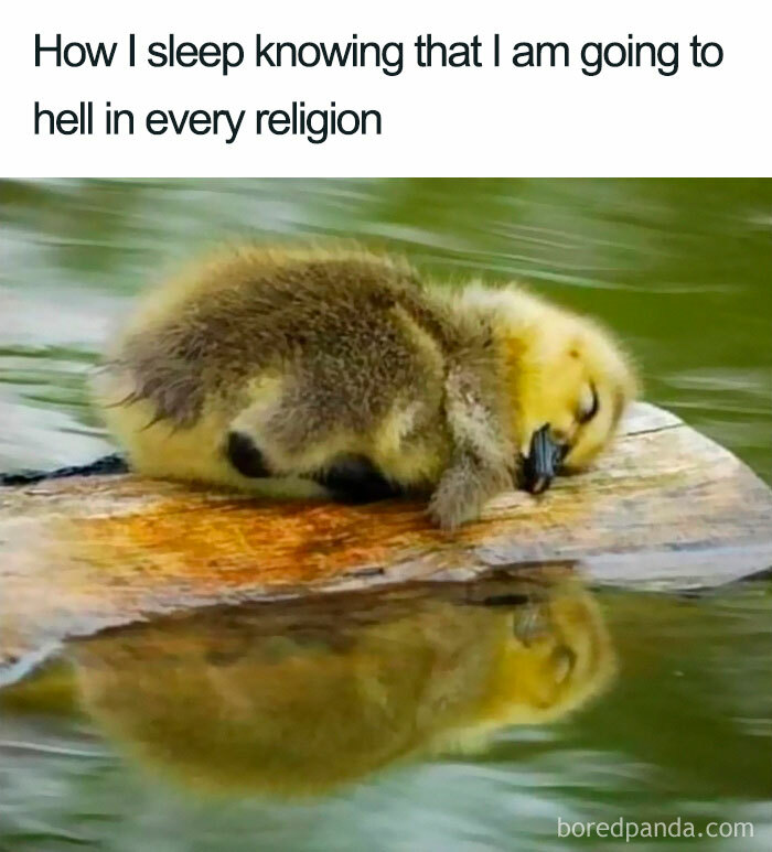 Don't Threaten Me With A Good Time!