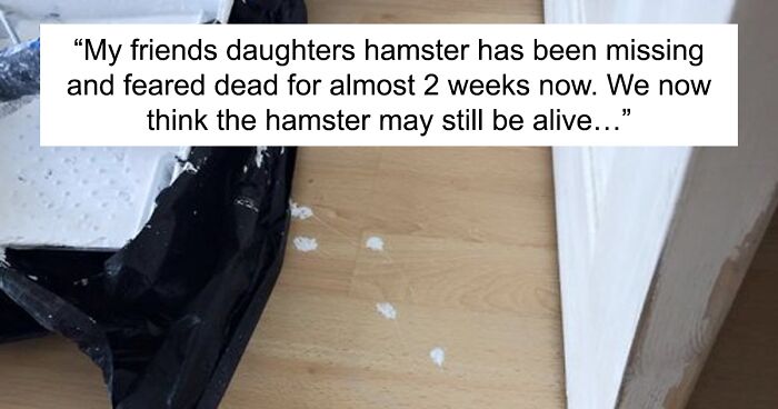 The Parents Of Twitter Continue To Raise The Bar On Comedy, And Here Are 30 Of Their Funniest Tweets This August