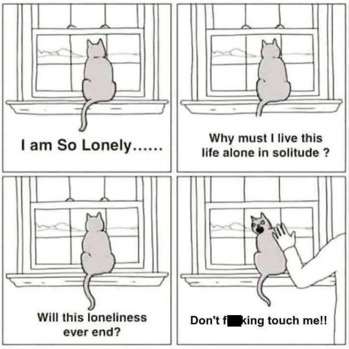 Am So Lonely!