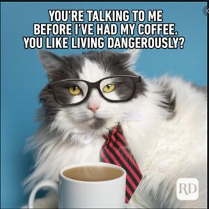 lonelyobnoxiousonion