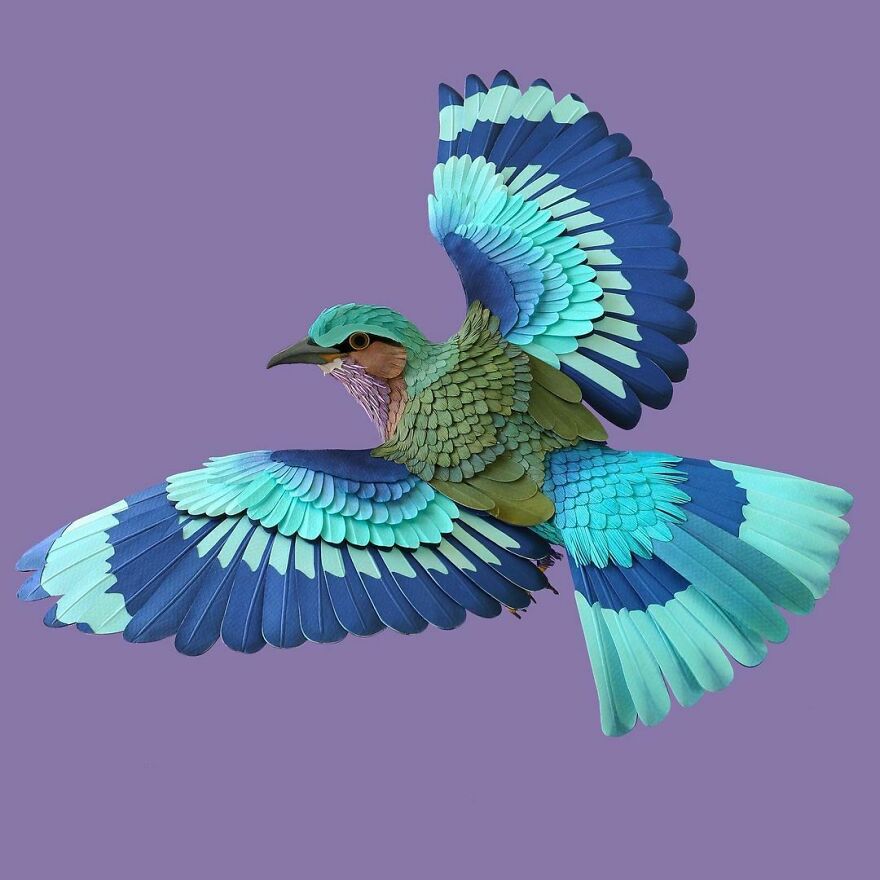 17 Amazing And Cute Animals!