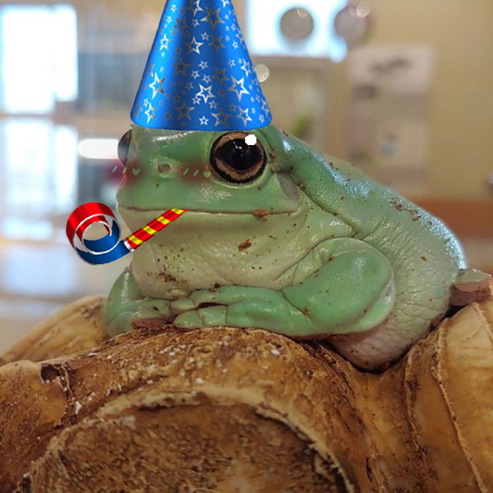 He's Having A Bday Party