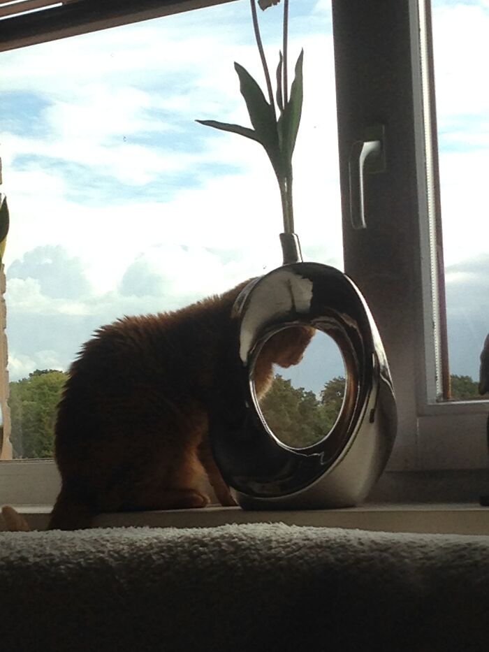 Hakuna Matata - Even Without Trying, He Keeps Making Me Smile Daily.