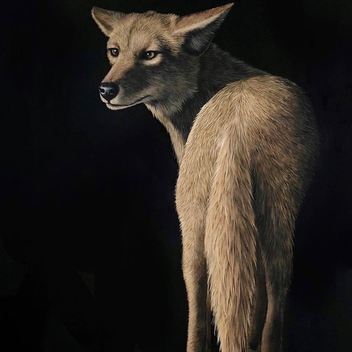 My Daughter Creates Hyper-Realistic Animal Portraits (30 Pics)