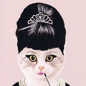 carolinemorneau avatar