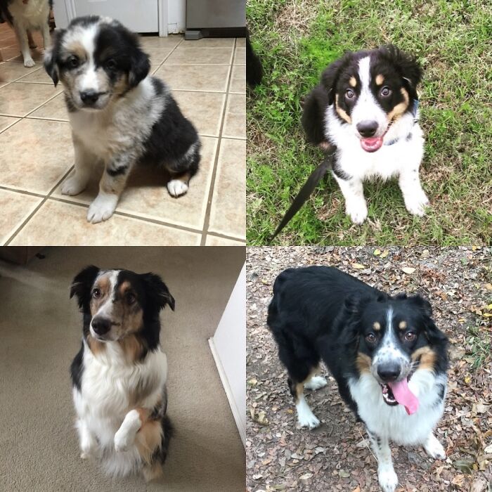 Our Two, From A Few Weeks Old To 5 Years.