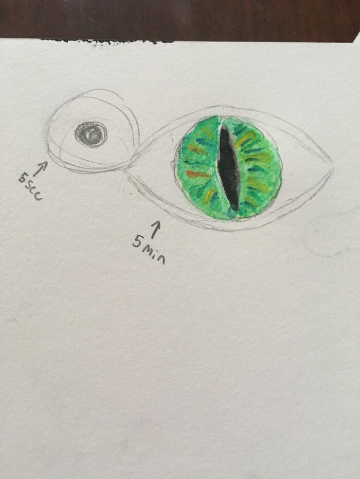 5 Sec/5 Min Eye