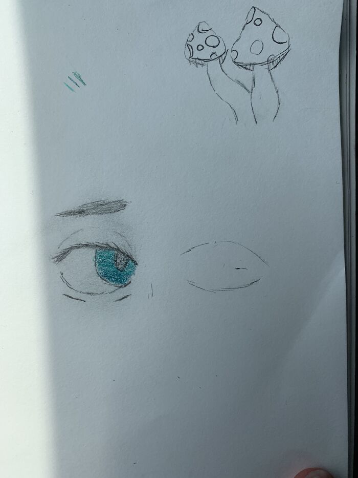 Left Is 5 Minutes And Right Is 5 Seconds (Also Don’t Mind The Mushrooms In The Corner This Was Not Part Of This)