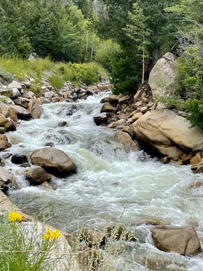 Cascades In The Rocky Mountains (Colorado).