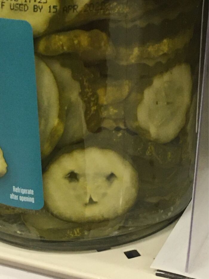 A Friend Hiding Amongst The Pickles