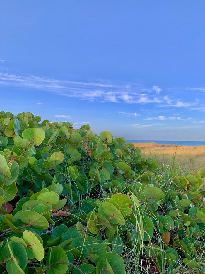 I Still Can’t Believe I Took This One.