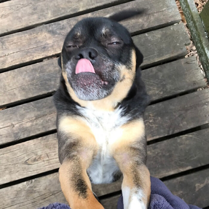 This Derp Is Strong In This One