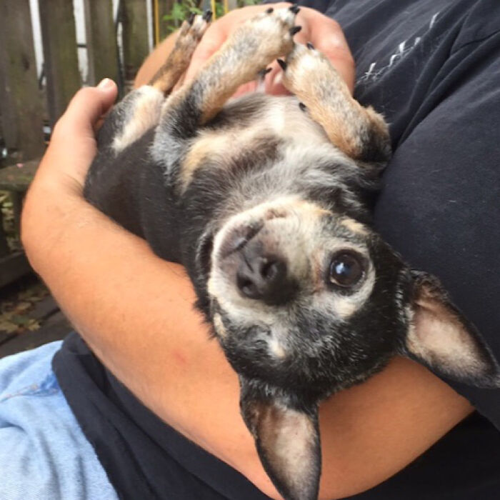 One Eyed Upside Down Deep