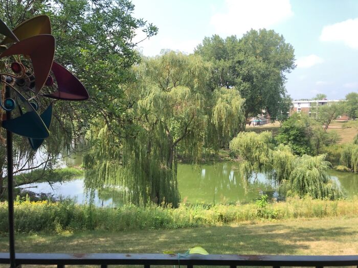 The Back Side (My Porch ) Of My Apartment. Super Beautiful