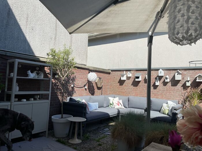 Our Little Stamp-Sized Backyard!