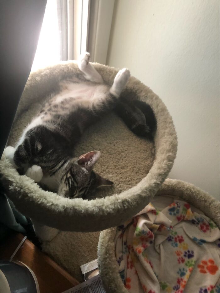 Sofia Being A Slinky In The Sun!